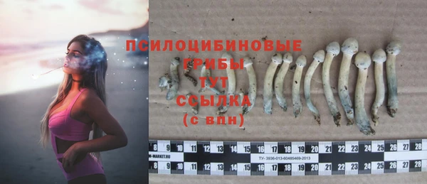 MESCALINE Лихославль