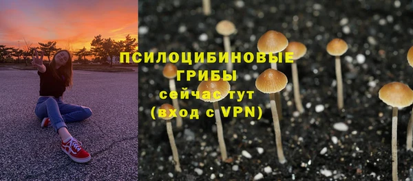 MESCALINE Лихославль