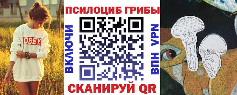 Псилоцибиновые грибы прущие грибы Чапаевск
