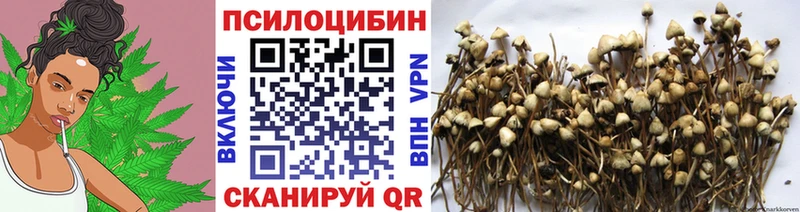 hydra Чапаевск площадка какой сайт Псилоцибиновые грибы мицелий
