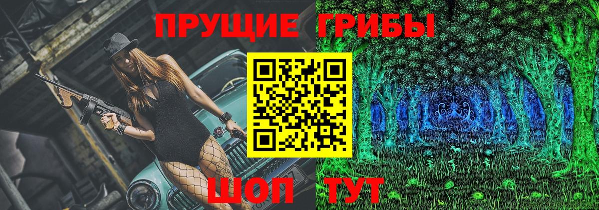 Псилоцибиновые грибы Psilocybine cubensis Чапаевск