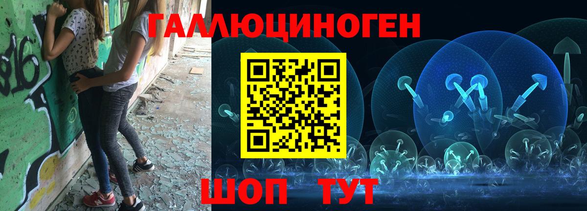 Псилоцибиновые грибы Psilocybine cubensis Чапаевск