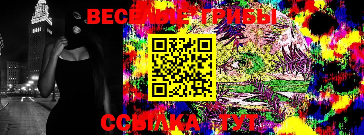 Чапаевск  Галлюциногенные грибы прущие грибы  Галлюциногенные грибы ЛСД  Вход с VPN 