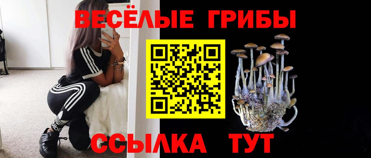 Галлюциногенные грибы Psilocybine cubensis  Галлюциногенные грибы прущие грибы  Чапаевск 